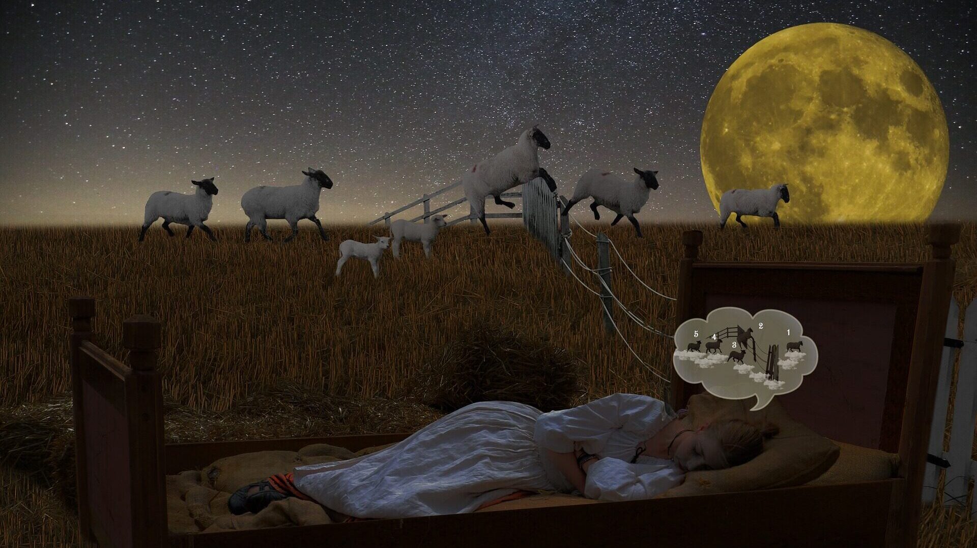 A Game Plan for Sound Sleep